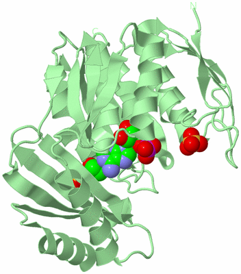 Image Biological Unit 2