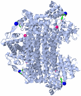 Image Biol. Unit 1 - sites