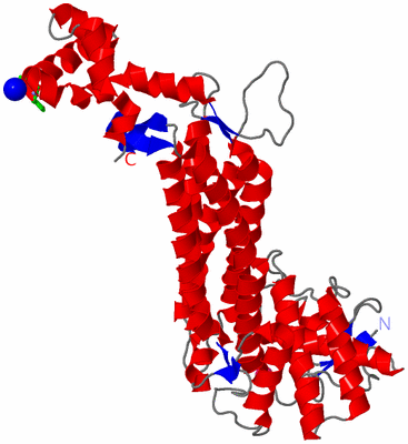 Image Asym. Unit - sites