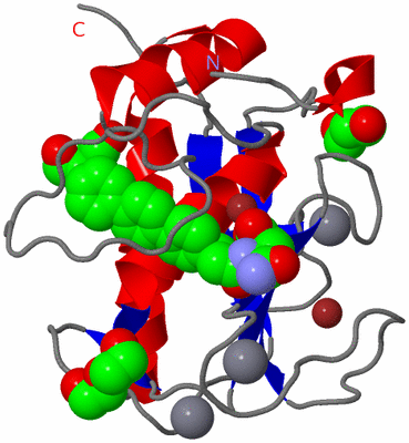 Image Asym./Biol. Unit