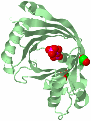 Image Biological Unit 2