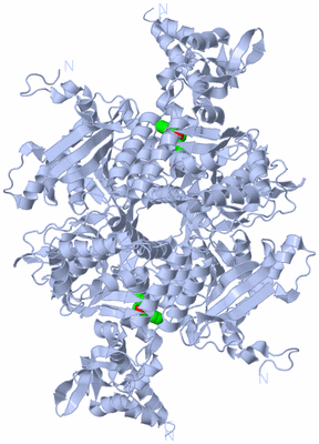 Image Biological Unit 1