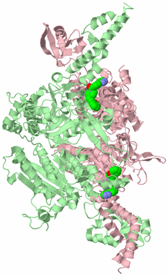 Image Biological Unit 2