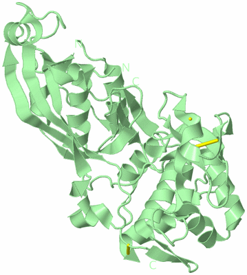 Image Biological Unit 2