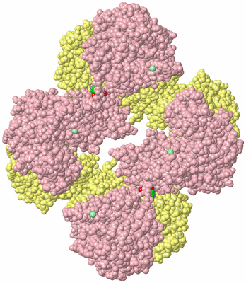 Image Biological Unit 2