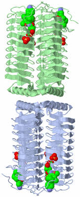 Image Biological Unit 3