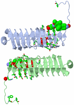 Image Asym. Unit - sites