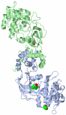 Image Biological Unit 1