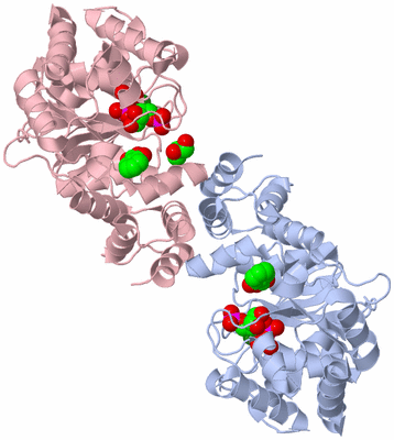 Image Biological Unit 1