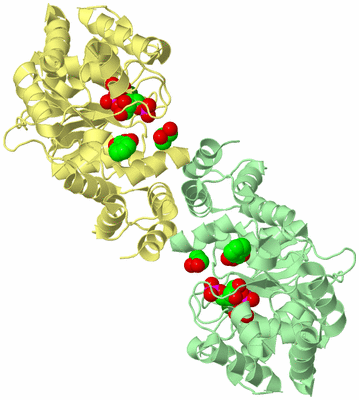 Image Biological Unit 2