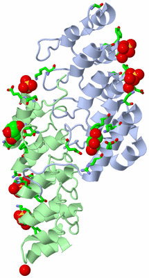 Image Asym./Biol. Unit - sites