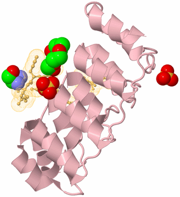 Image Biological Unit 3