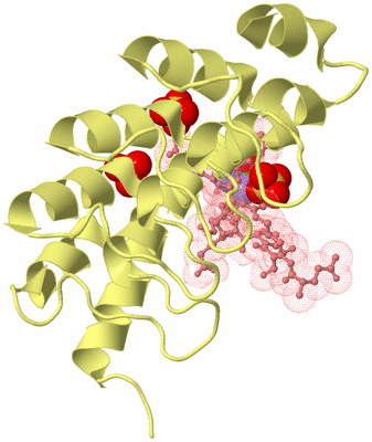 Image Biological Unit 4