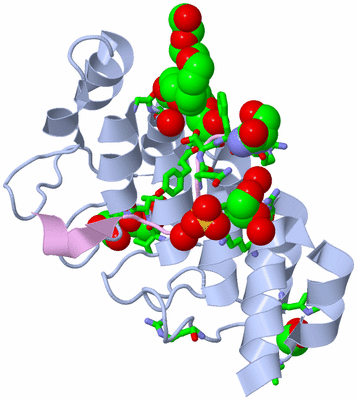 Image Biol. Unit 1 - sites