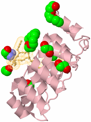 Image Biological Unit 3