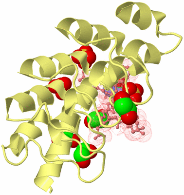 Image Biological Unit 4