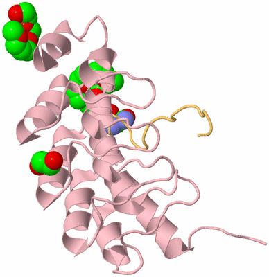 Image Biological Unit 3