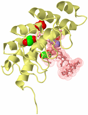 Image Biological Unit 4