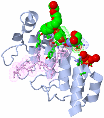 Image Biol. Unit 1 - sites