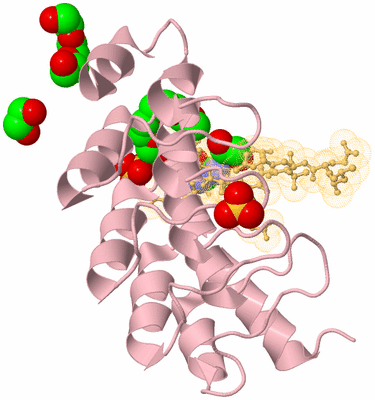 Image Biological Unit 3