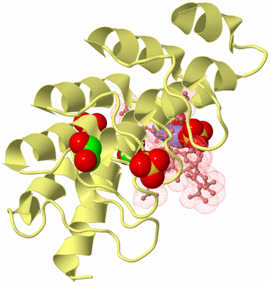 Image Biological Unit 4