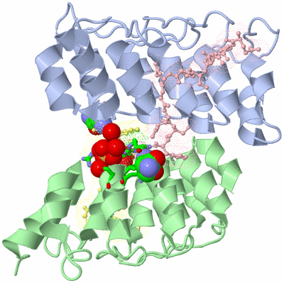 Image Asym./Biol. Unit - sites