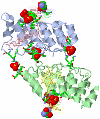 Image Biol. Unit 1 - sites