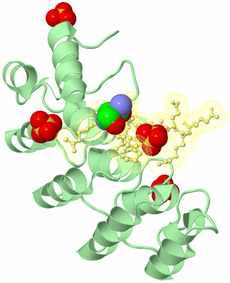 Image Biological Unit 3