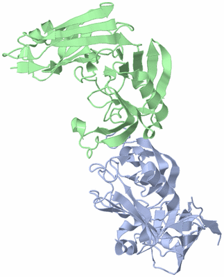 Image Biological Unit 3