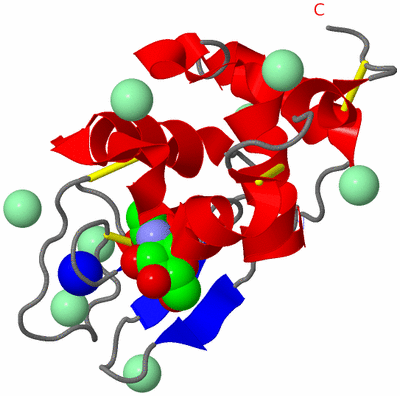 Image Asym./Biol. Unit