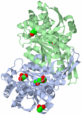 Image Asym./Biol. Unit