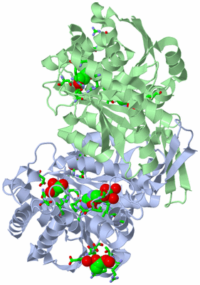 Image Asym./Biol. Unit - sites