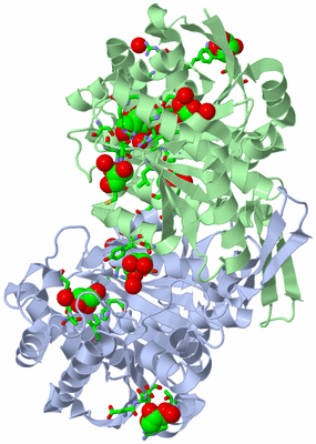 Image Asym./Biol. Unit - sites