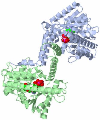 Image Asym./Biol. Unit