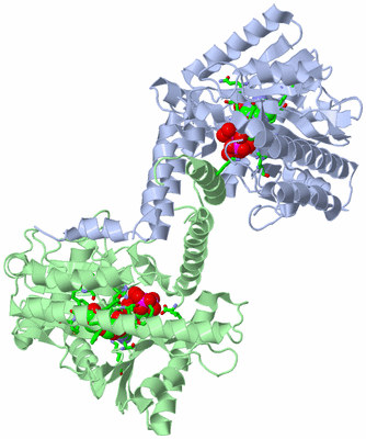 Image Asym./Biol. Unit - sites