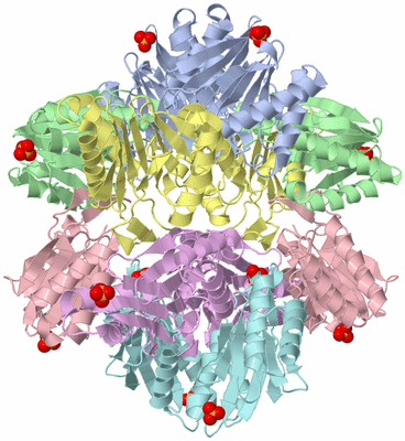 Image Biological Unit 1