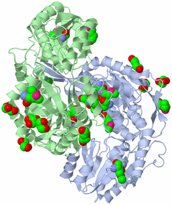 Image Asym./Biol. Unit