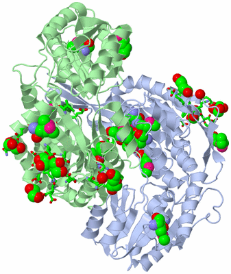 Image Asym./Biol. Unit - sites