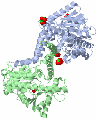 Image Asym./Biol. Unit