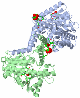 Image Asym./Biol. Unit - sites