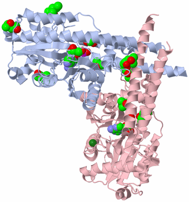 Image Biological Unit 1