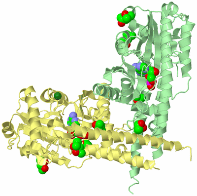 Image Biological Unit 3