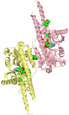 Image Biological Unit 4