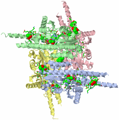 Image Asym. Unit - sites