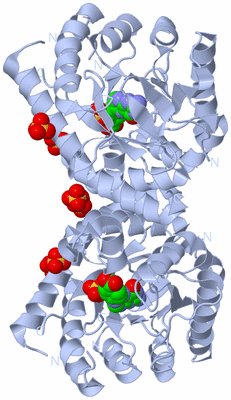 Image Biological Unit 1