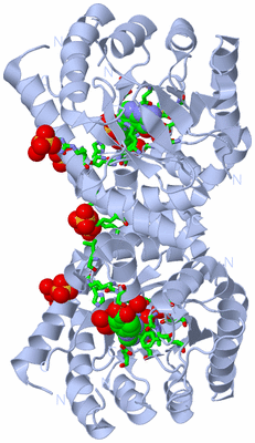 Image Biol. Unit 1 - sites