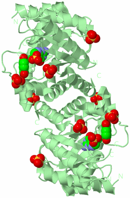 Image Biological Unit 2