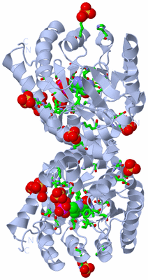 Image Biol. Unit 1 - sites