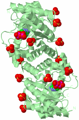 Image Biological Unit 2