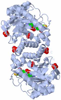 Image Biological Unit 1